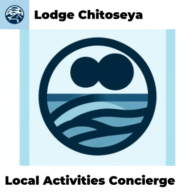 Local Activities Concierge